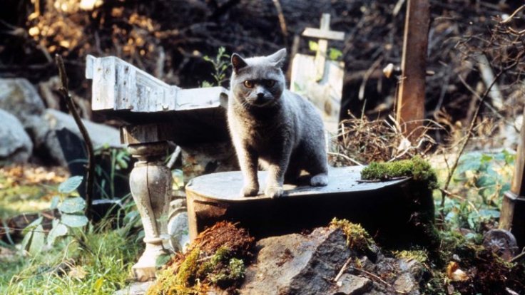 pet_sematary_89_a-h_2019.jpg